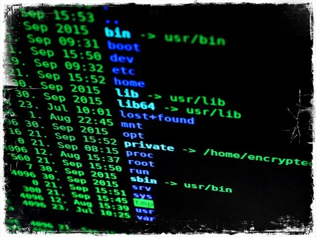 Casos de seguridad