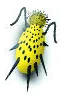Gusano amarillo
