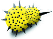 i-Worm amarillo