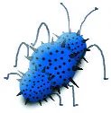 Gusano azul