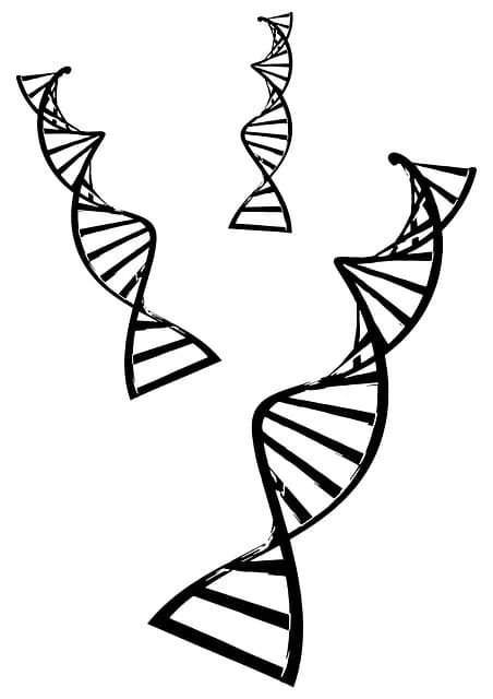 Redes neuronales artificiales